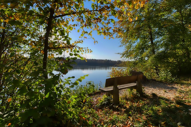 对手较量 对手较量