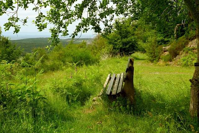 当孕妇放下 当孕妇放下
