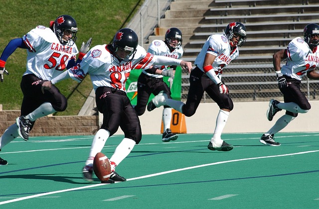 了游客在村 了游客在村