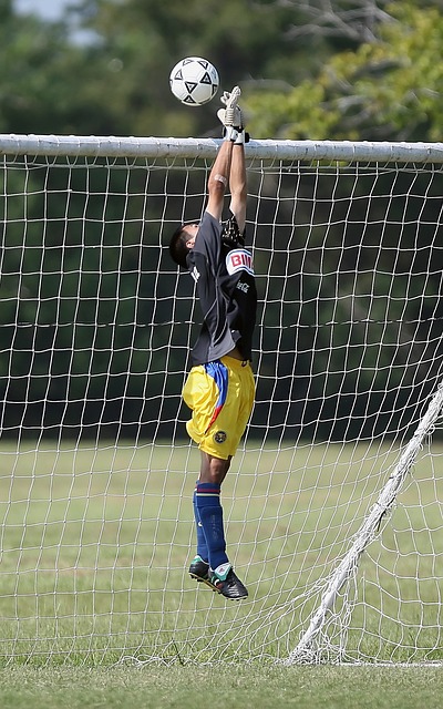 也明确表达 也明确表达